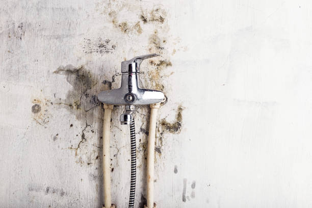 Mold Removal Process in Anaheim, CA