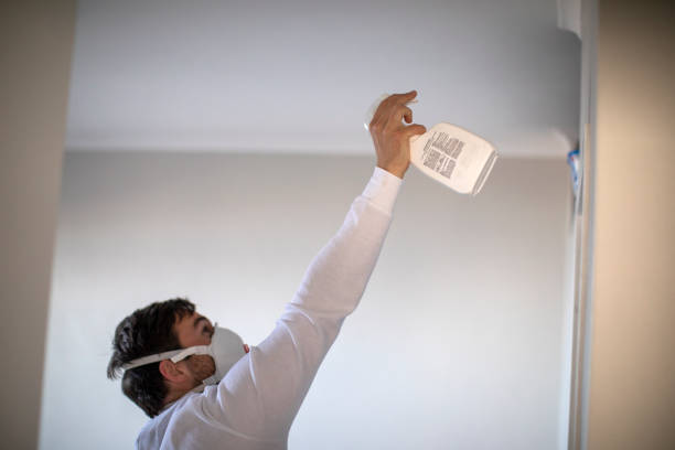 Best Office Mold Removal Services  in Anaheim, CA