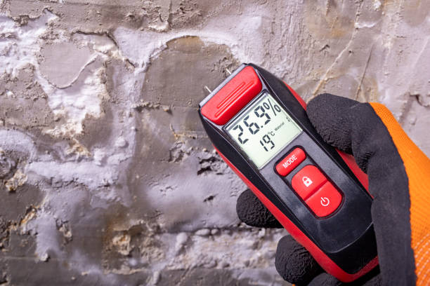 Trusted Anaheim, CA Mold Removal Experts