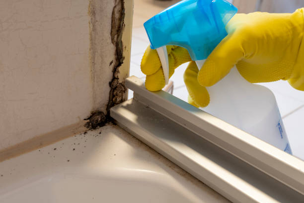 Best Crawl Space Mold Removal  in Anaheim, CA