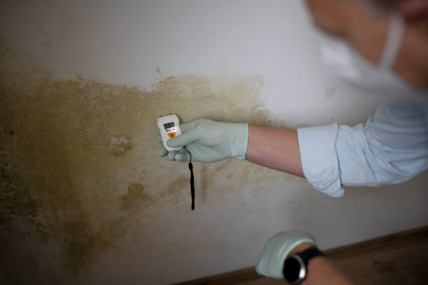 Best Mold Testing  in Anaheim, CA