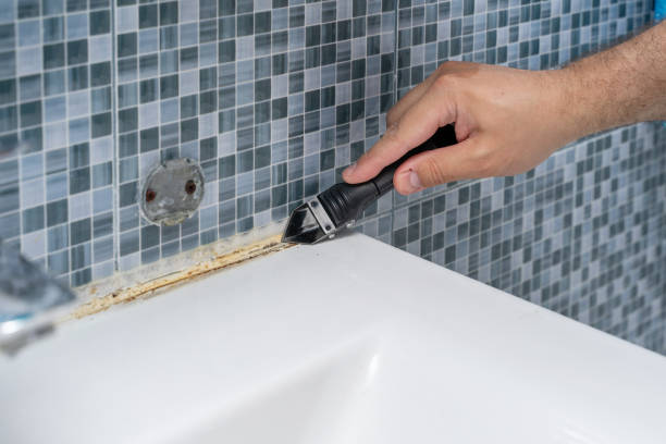 Best Best Mold Removal Companies  in Anaheim, CA