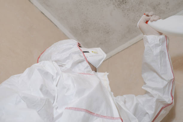 Best Mold Damage Repair  in Anaheim, CA