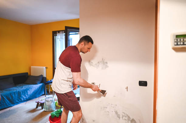 Best Mold Remediation  in Anaheim, CA